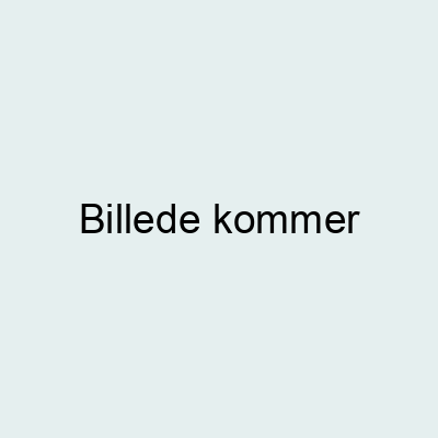Sæt tabellen op Måge Støv Brugsanvisning Singer Promise 1408 / 1409 - SINGER SYMASKINER  BRUGSANVISNINGER - Allans Symaskiner c/o Ribes Broderi og Garn